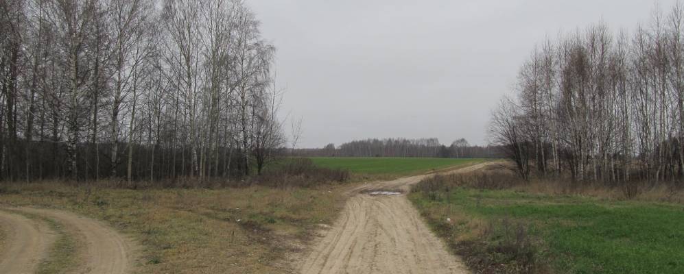 
            Фотография Шапошного