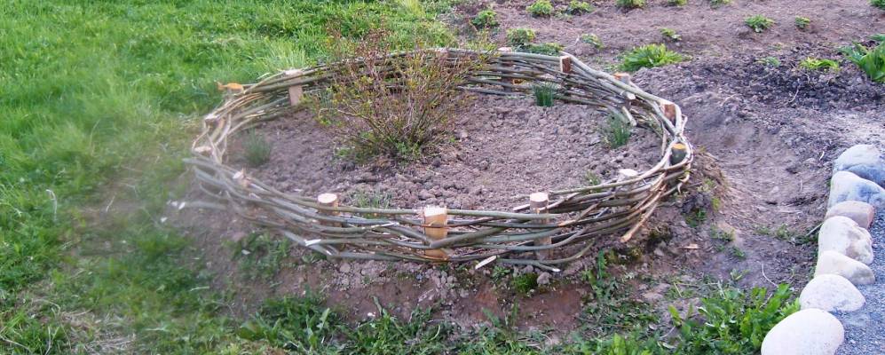 
            Фотография Лисовщины