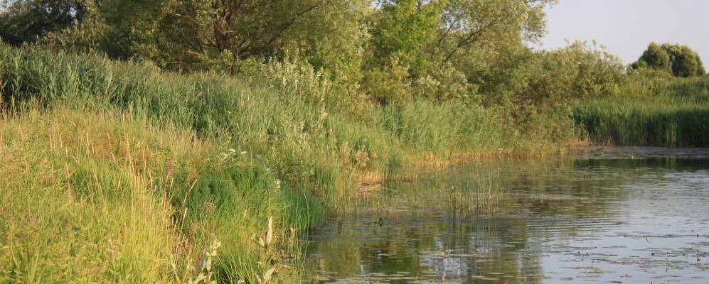 
            Фотография Булдаково