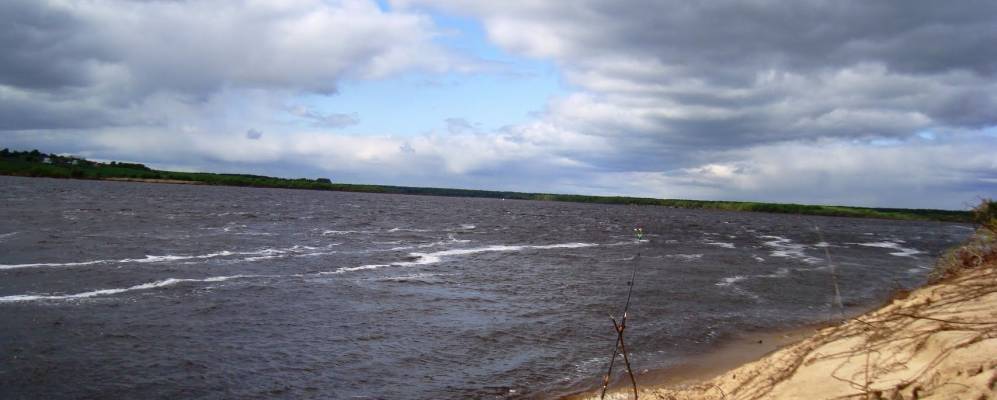 
            Фотография Парчега