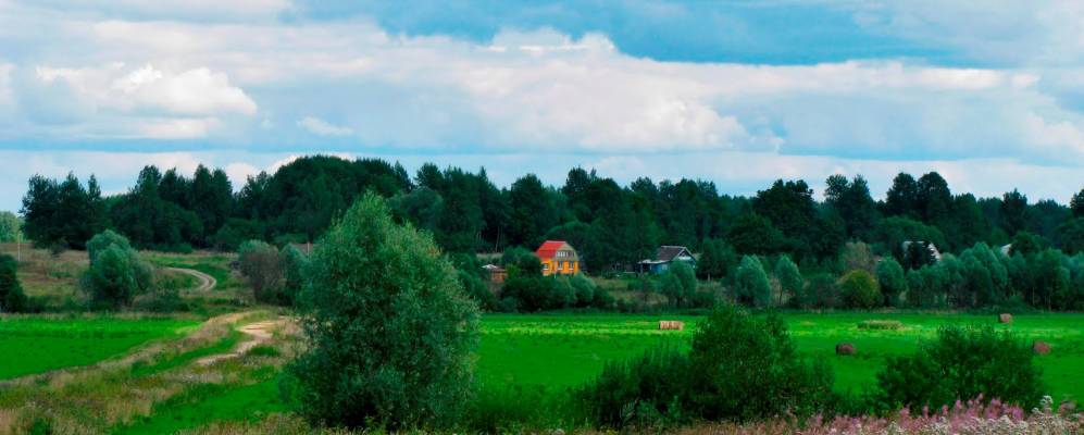 
            Фотография Подсосонья