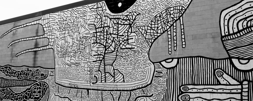 
            Фотография Меды