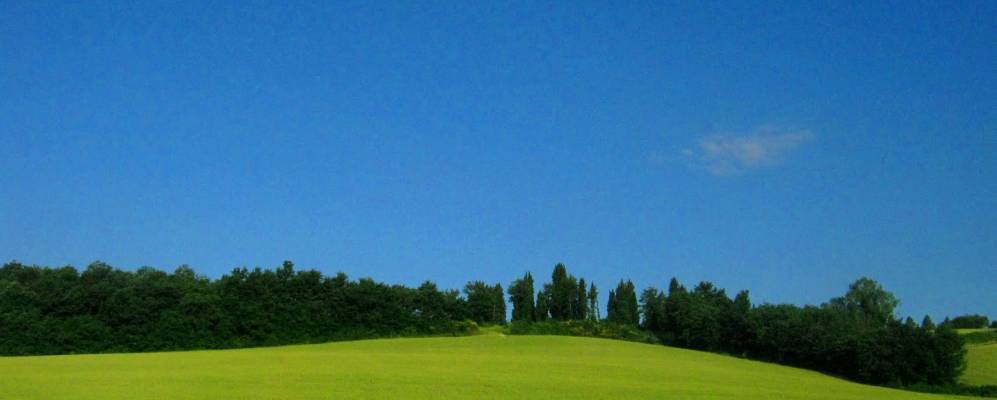 
            Фотография Трогхи