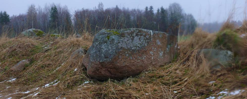 
            Фотография Заостровья