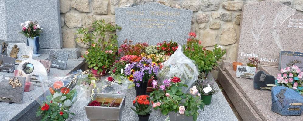 
            Фотография Антрега