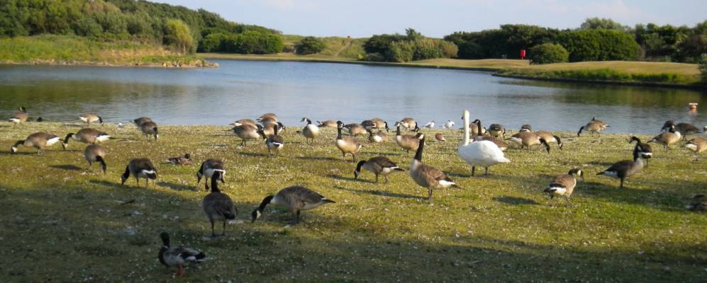 
            Фотография Литам Сент-Аннса
