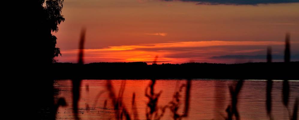 Фотография Норского