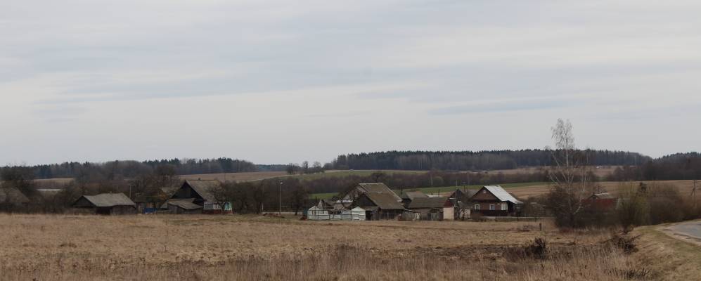 
            Фотография Дусаевщины