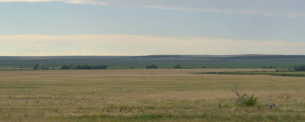 
            Фотография Ляшева