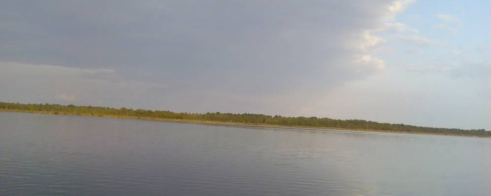 
            Фотография Ситского