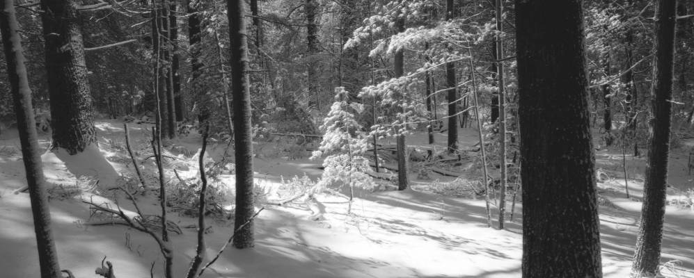 
            Фотография Миддл Айленда