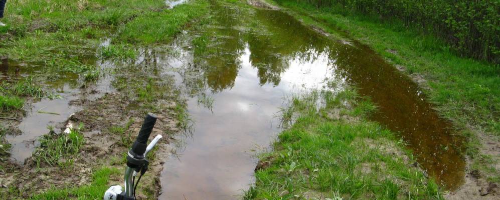 
            Фотография Гребеневки