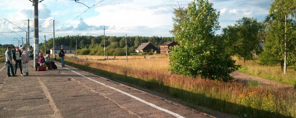 Поселок чаща. Поселок чаща. Станция чаща гатчинский район. Посёлок чаща гатчинский район фото. Деревня чаща гатчинский район ленинградская область.