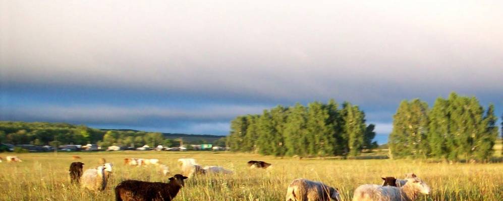 
            Фотография Кожай-Икских Вершин