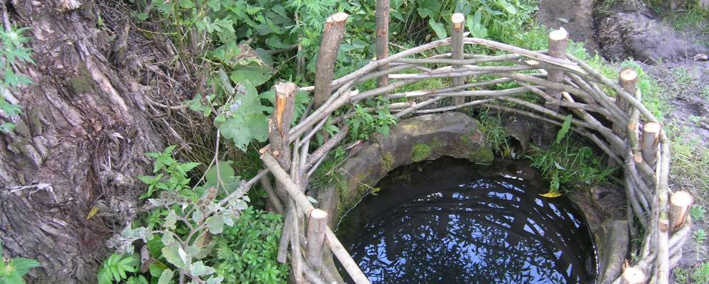 Фотография Никитинки