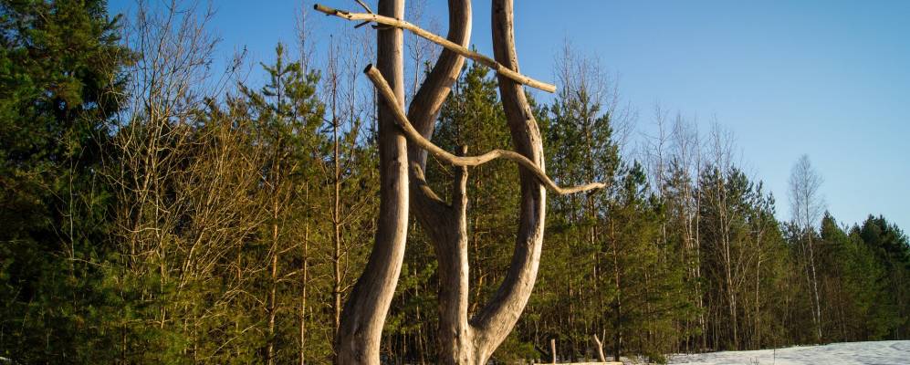 
            Фотография Долгого