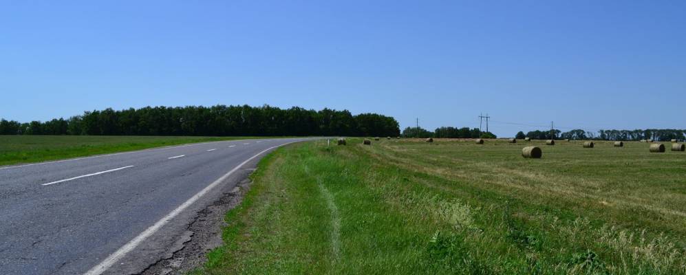 
            Фотография Горного