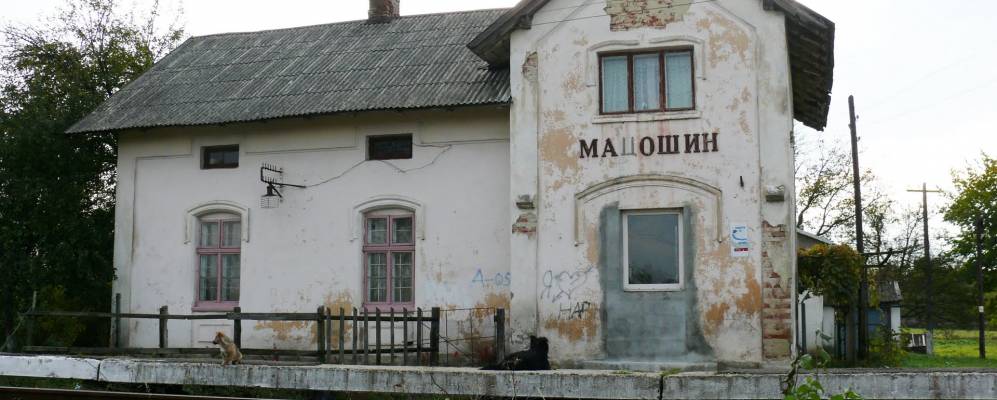 
            Фотография Мацошина