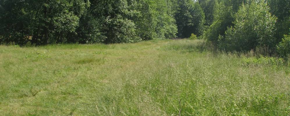 
            Фотография Выползово