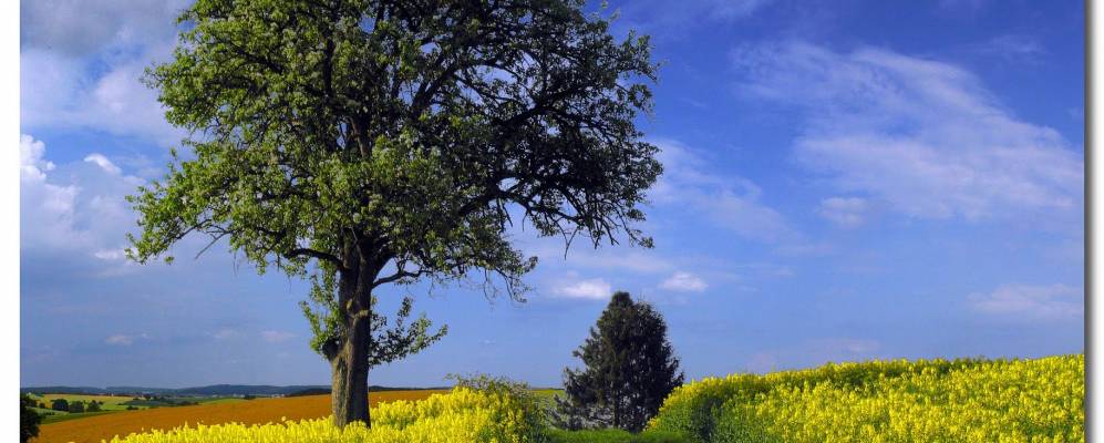 
            Фотография Райхартсхаузена