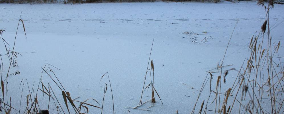 
            Фотография Скорятино