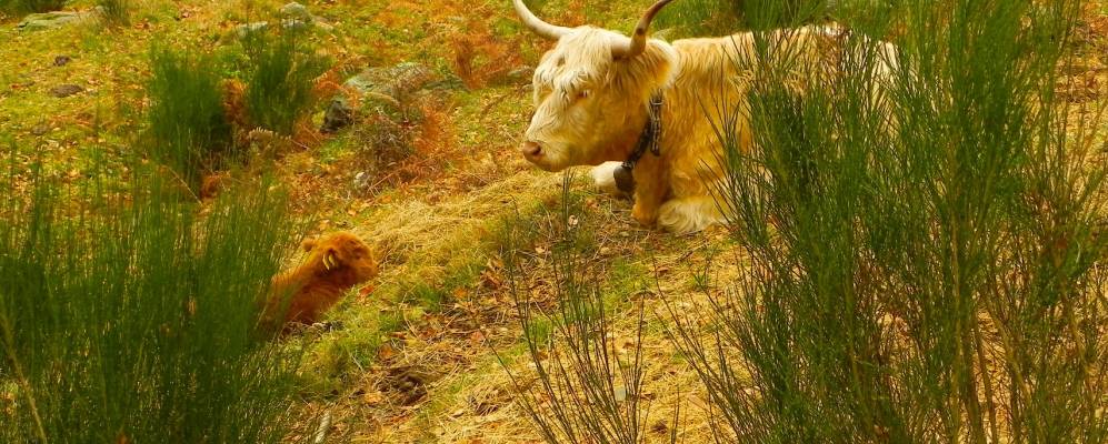 Фотография Арозио