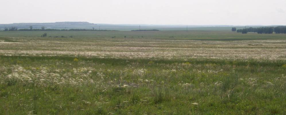 
            Фотография Набережный