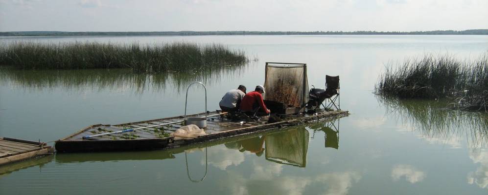 
            Фотография Куреево
