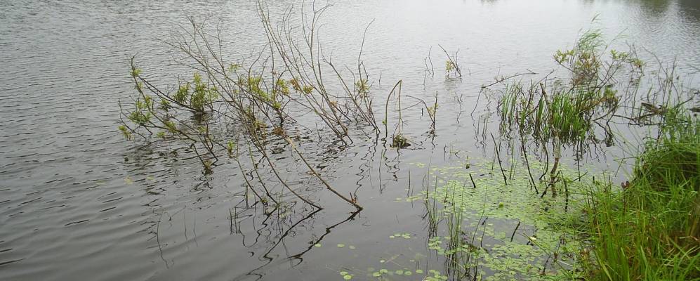 Фотография Новоселья