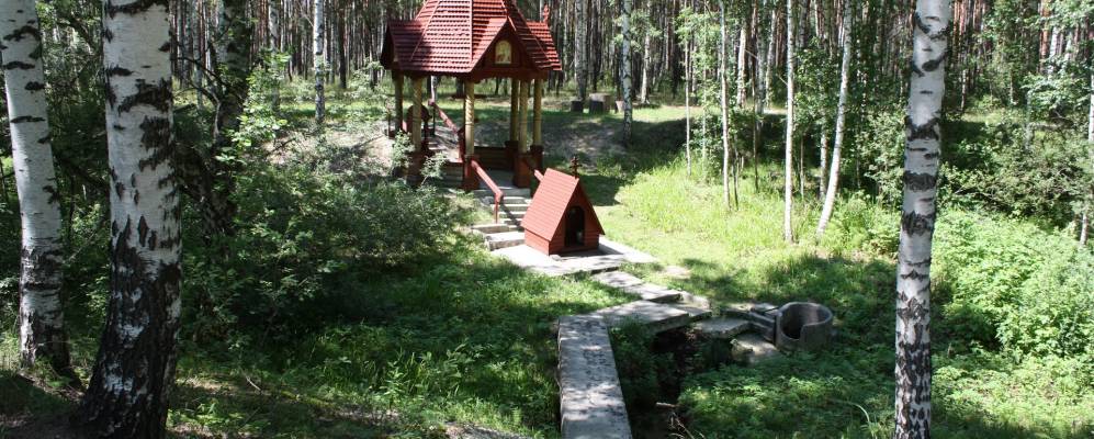 
            Фотография Арги