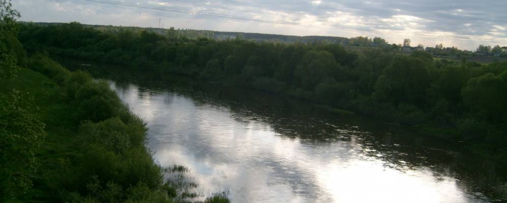 
            Фотография Лыски