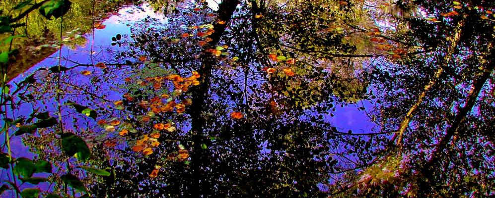 
            Фотография Рончини