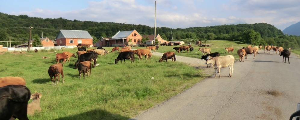 
            Фотография Ахсарисара