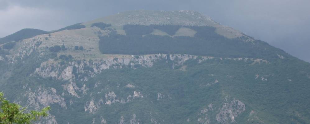 
            Фотография Антродоко