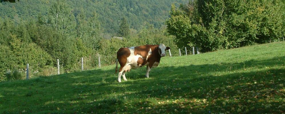 
            Фотография Бранд-Лабен