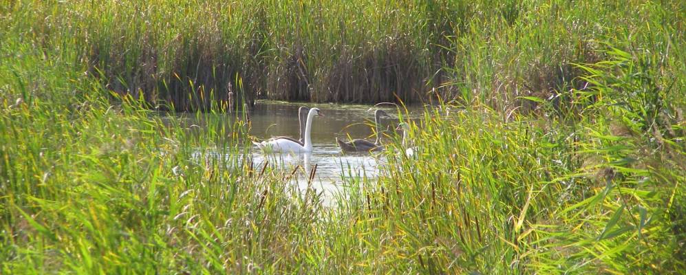 
            Фотография Фроловки