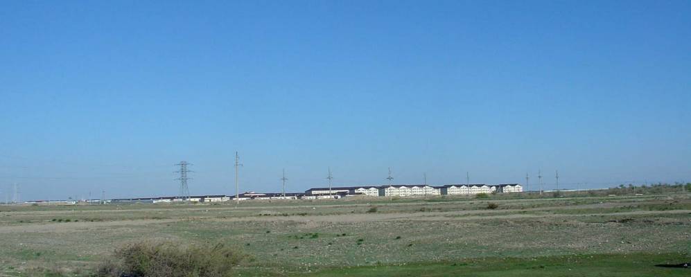 
            Фотография Пиджима