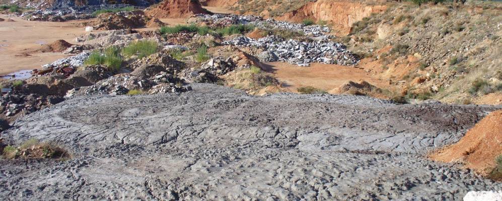 
            Фотография Фуэнсанта