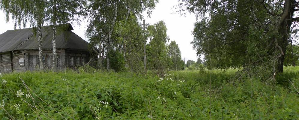 
            Фотография Клычево