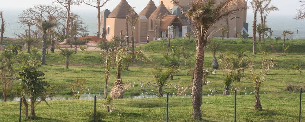 
            Фотография Бруфут