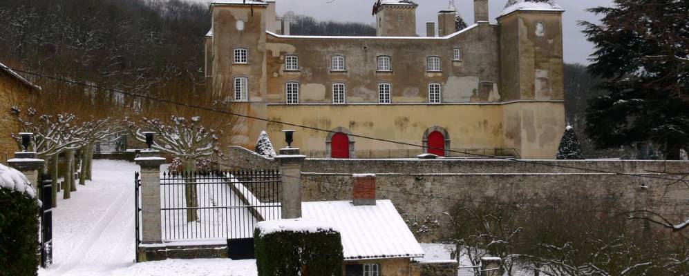 
            Фотография Лимонеста