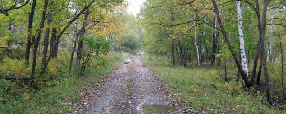 
            Фотография Георгиевки