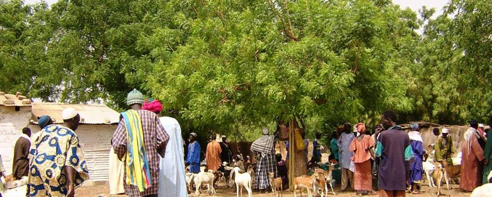 Фотография Каолака