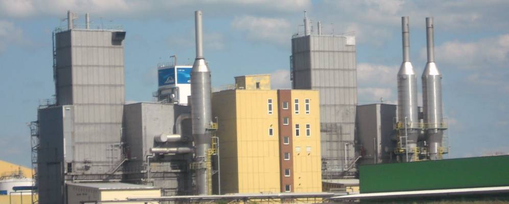 
            Фотография Лойны