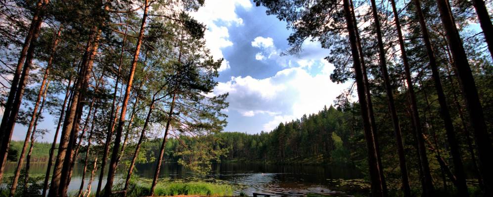 
            Фотография деревни Дроздцы