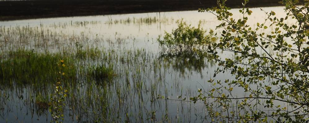 
            Фотография Затиши