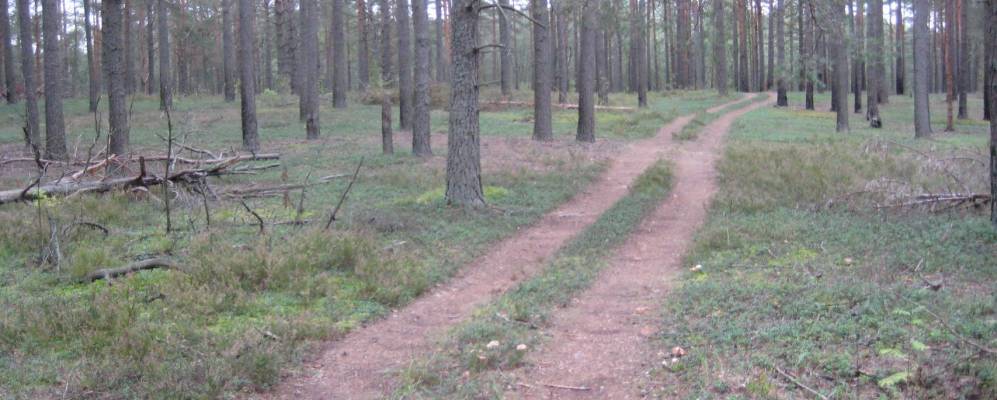 Фотография Максимово