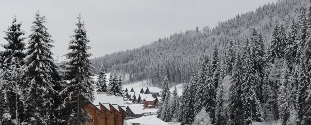 
            Фотография Тарасовки