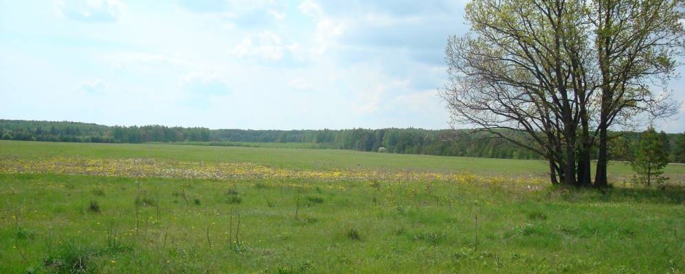 
            Фотография Козляковки