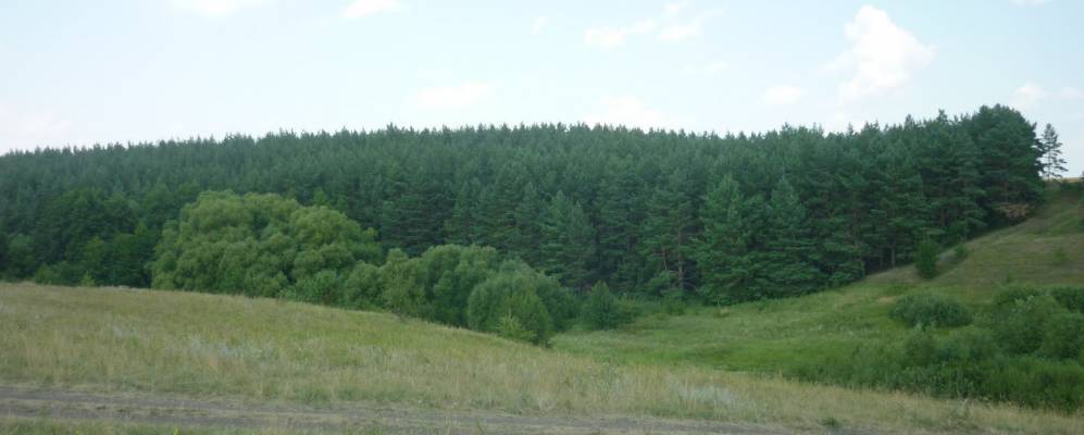 
            Фотография Барышниково